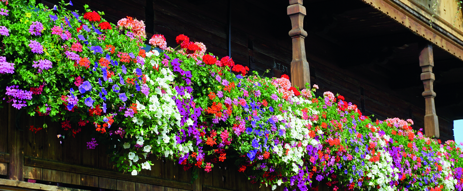 Gärtnerei Gruber - GB Gartencenter GmbH & Co. KG
