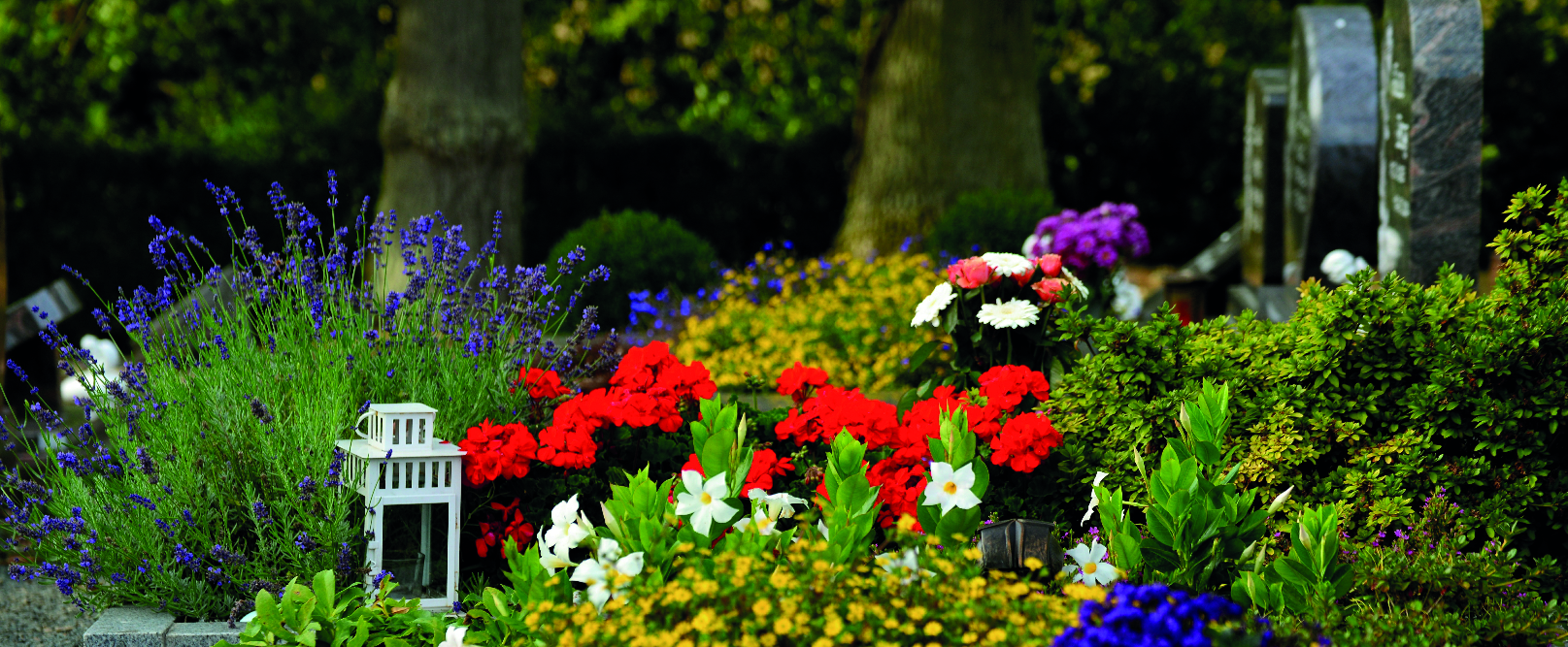 Gärtnerei Gruber - GB Gartencenter GmbH & Co. KG