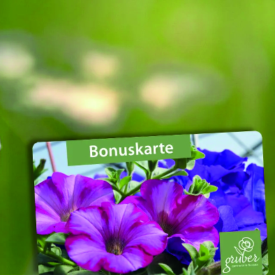 Gärtnerei Gruber - GB Gartencenter GmbH & Co. KG